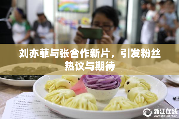 刘亦菲与张合作新片，引发粉丝热议与期待