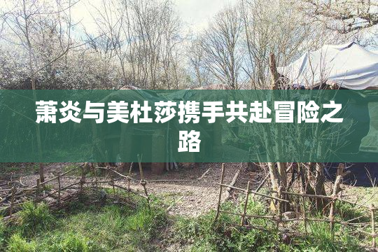 萧炎与美杜莎携手共赴冒险之路