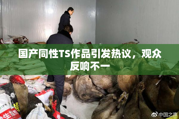 国产同性TS作品引发热议，观众反响不一