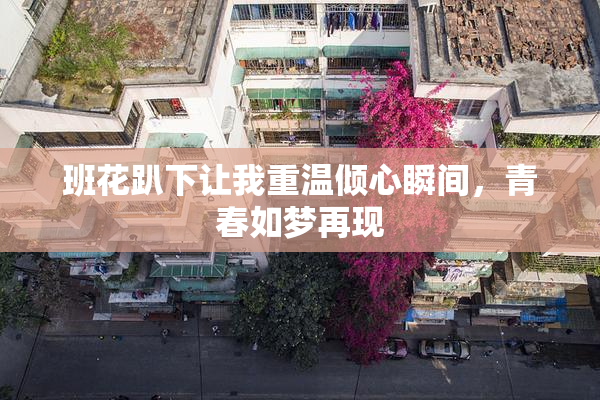 班花趴下让我重温倾心瞬间，青春如梦再现