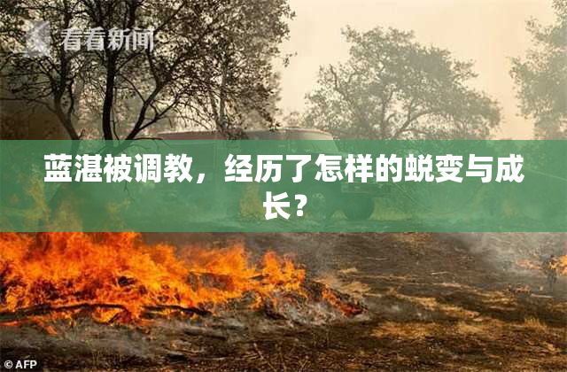 蓝湛被调教，经历了怎样的蜕变与成长？