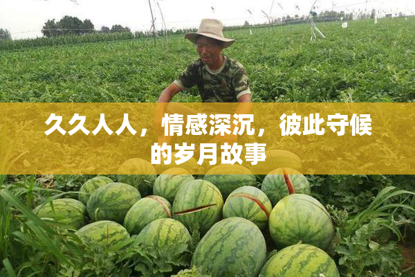 久久人人，情感深沉，彼此守候的岁月故事