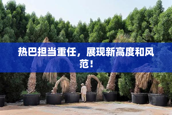 热巴担当重任，展现新高度和风范！