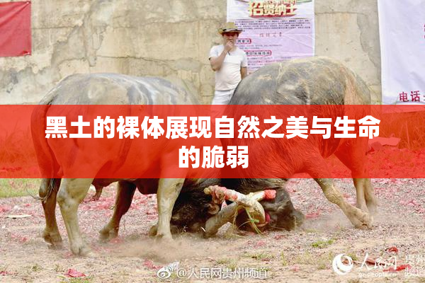 黑土的裸体展现自然之美与生命的脆弱