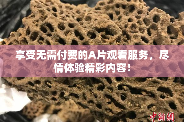 享受无需付费的A片观看服务，尽情体验精彩内容！