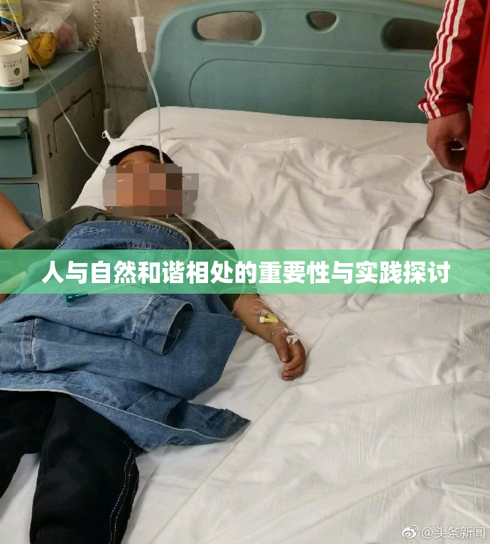人与自然和谐相处的重要性与实践探讨