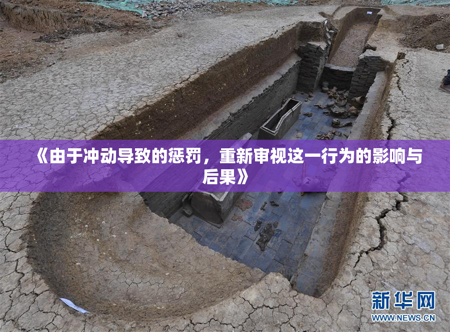 《由于冲动导致的惩罚，重新审视这一行为的影响与后果》