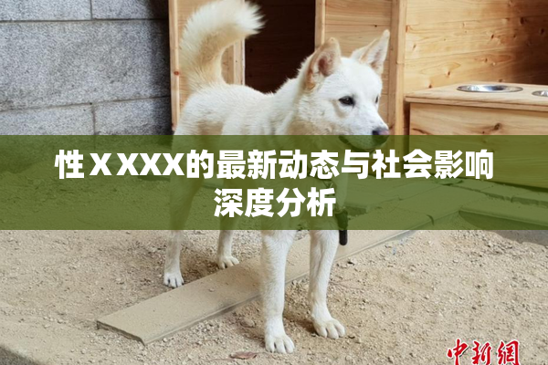 性ⅩXXX的最新动态与社会影响深度分析