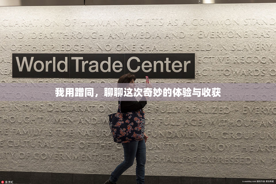 我用蹭同，聊聊这次奇妙的体验与收获
