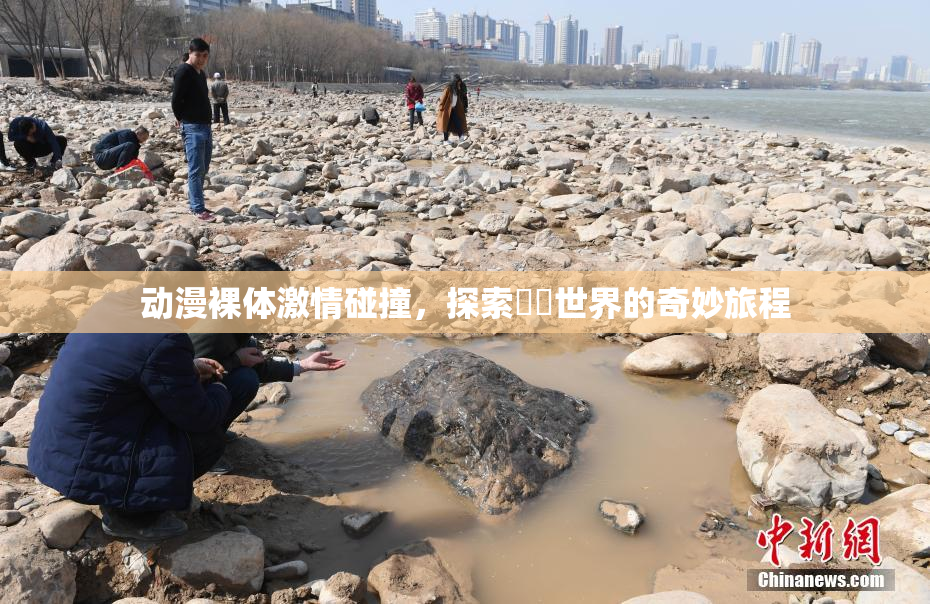 动漫裸体激情碰撞，探索❌‌世界的奇妙旅程