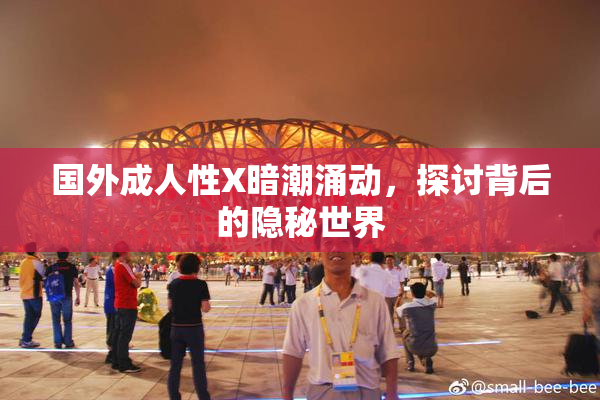 国外成人性X暗潮涌动，探讨背后的隐秘世界