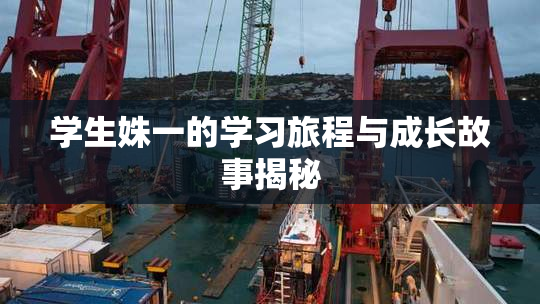 学生姝一的学习旅程与成长故事揭秘