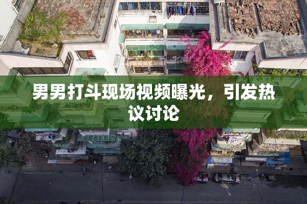 男男打斗现场视频曝光，引发热议讨论