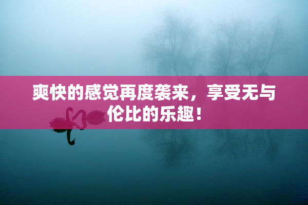 爽快的感觉再度袭来，享受无与伦比的乐趣！
