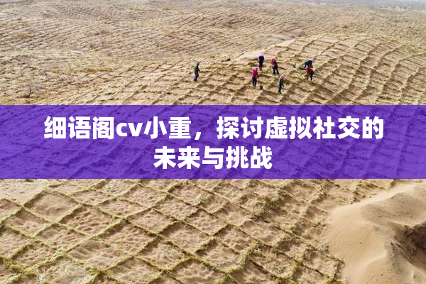 细语阁cv小重，探讨虚拟社交的未来与挑战