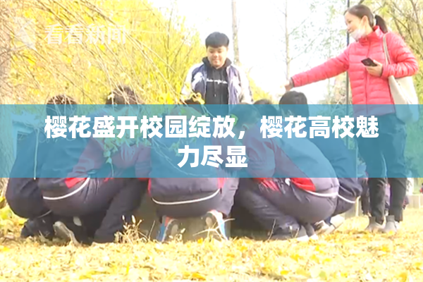 樱花盛开校园绽放，樱花高校魅力尽显