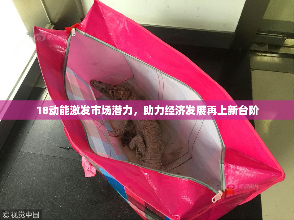 18动能激发市场潜力，助力经济发展再上新台阶