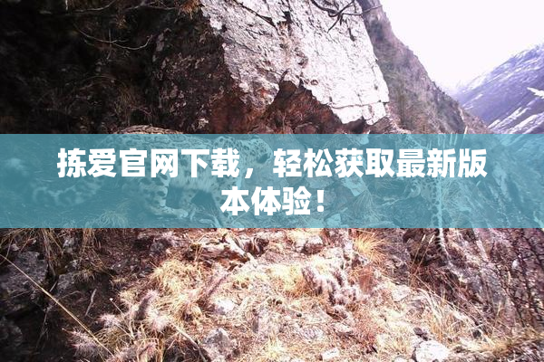 拣爱官网下载，轻松获取最新版本体验！