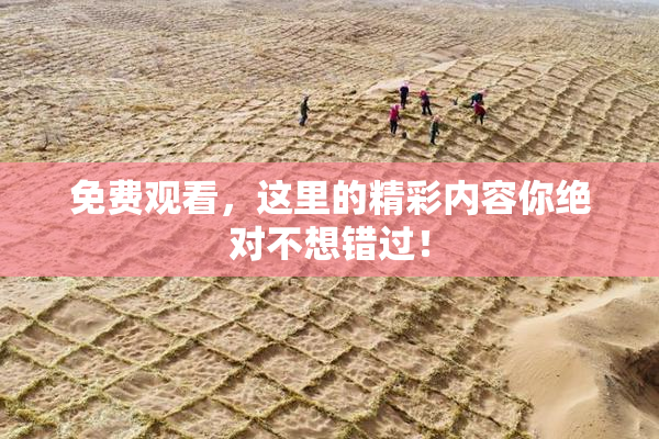 免费观看，这里的精彩内容你绝对不想错过！