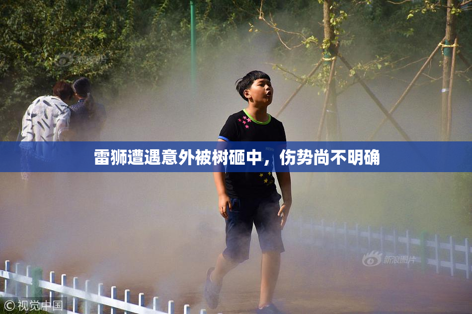 雷狮遭遇意外被树砸中，伤势尚不明确