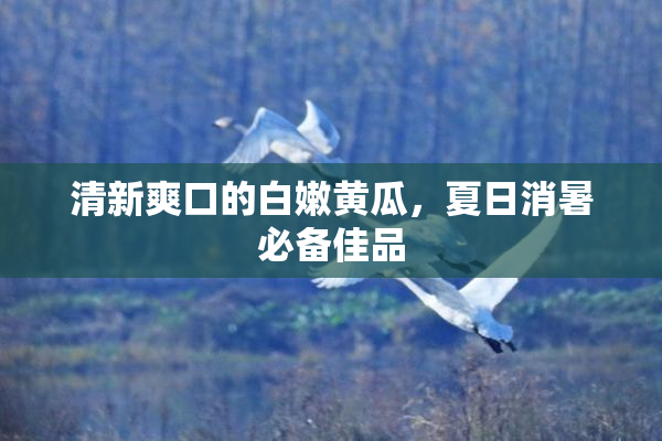 清新爽口的白嫩黄瓜，夏日消暑必备佳品