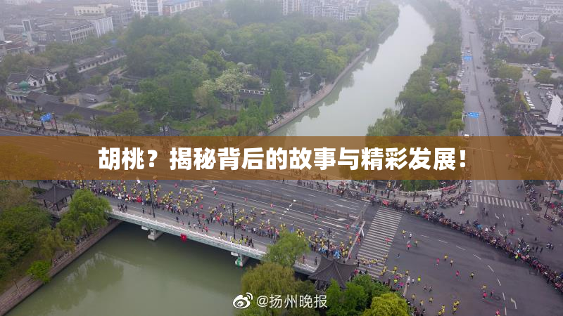 胡桃？揭秘背后的故事与精彩发展！