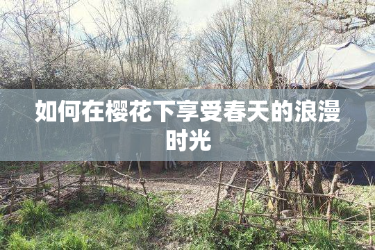 如何在樱花下享受春天的浪漫时光
