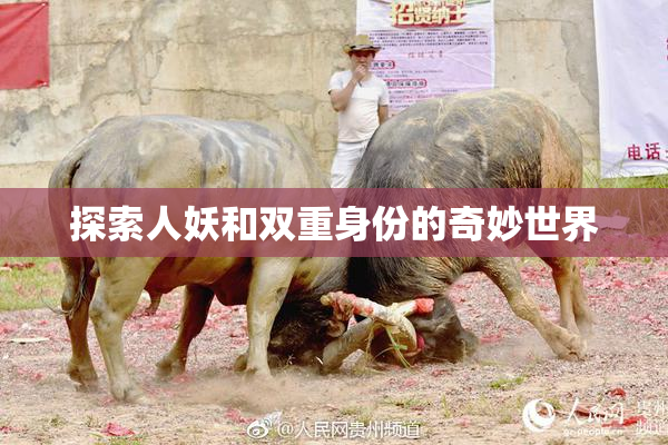 探索人妖和双重身份的奇妙世界