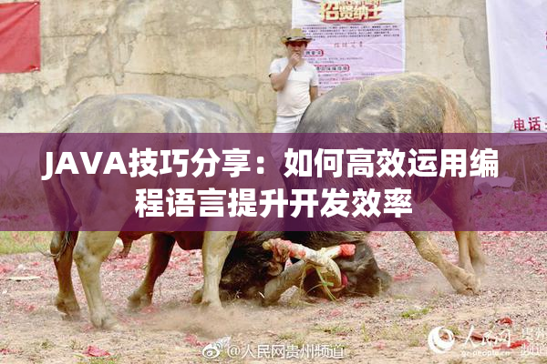 JAVA技巧分享：如何高效运用编程语言提升开发效率
