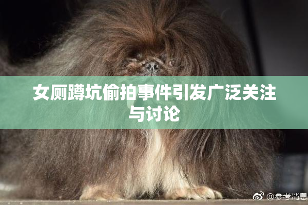 女厕蹲坑偷拍事件引发广泛关注与讨论