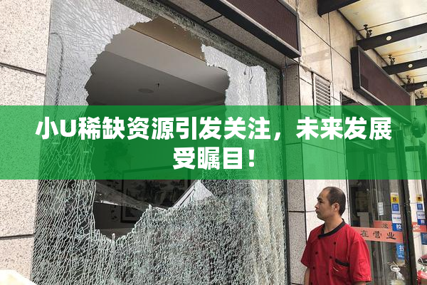 小U稀缺资源引发关注，未来发展受瞩目！
