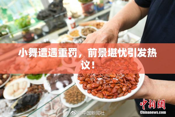 小舞遭遇重罚，前景堪忧引发热议！