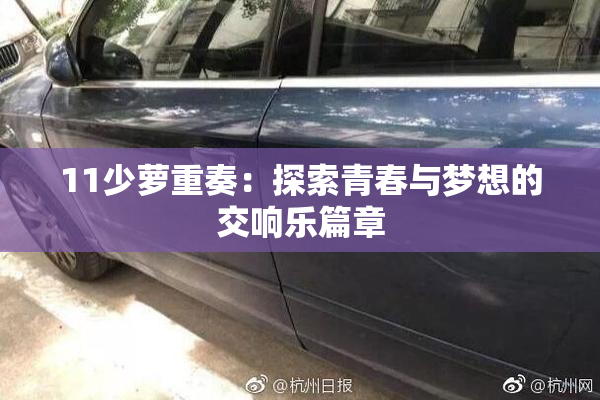11少萝重奏：探索青春与梦想的交响乐篇章
