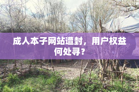 成人本子网站遭封，用户权益何处寻？