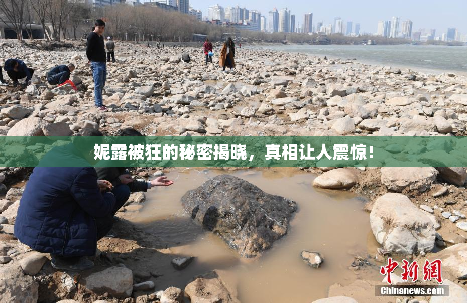 妮露被狂的秘密揭晓，真相让人震惊！