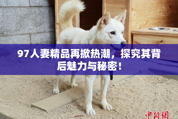 97人妻精品再掀热潮，探究其背后魅力与秘密！