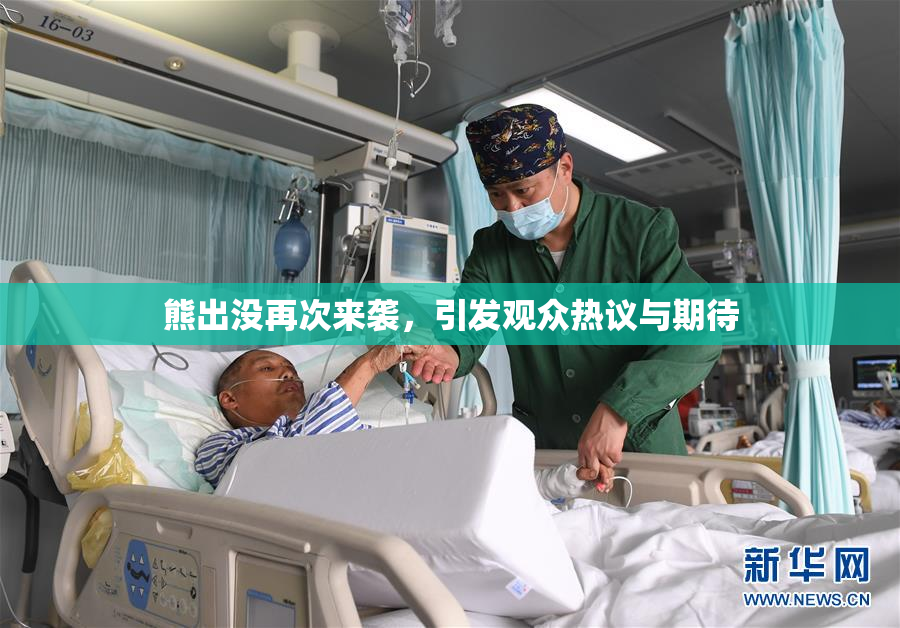 熊出没再次来袭，引发观众热议与期待
