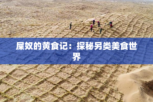 屎奴的黄食记：探秘另类美食世界