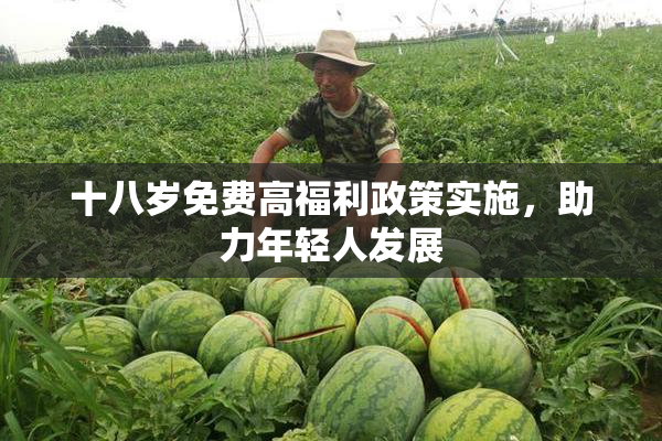 十八岁免费高福利政策实施，助力年轻人发展
