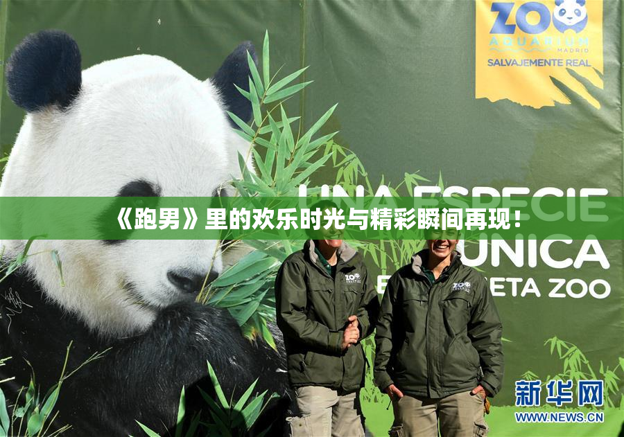 《跑男》里的欢乐时光与精彩瞬间再现！