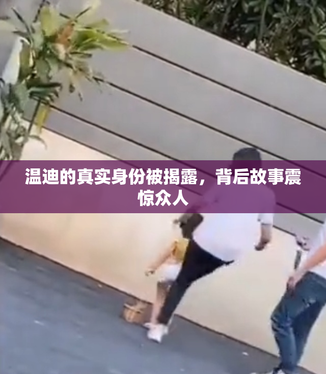 温迪的真实身份被揭露，背后故事震惊众人