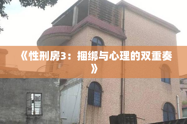 《性刑房3：捆绑与心理的双重奏》