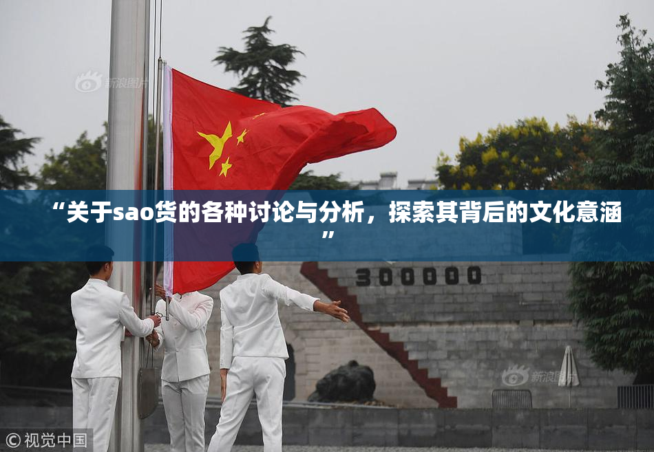 “关于sao货的各种讨论与分析，探索其背后的文化意涵”