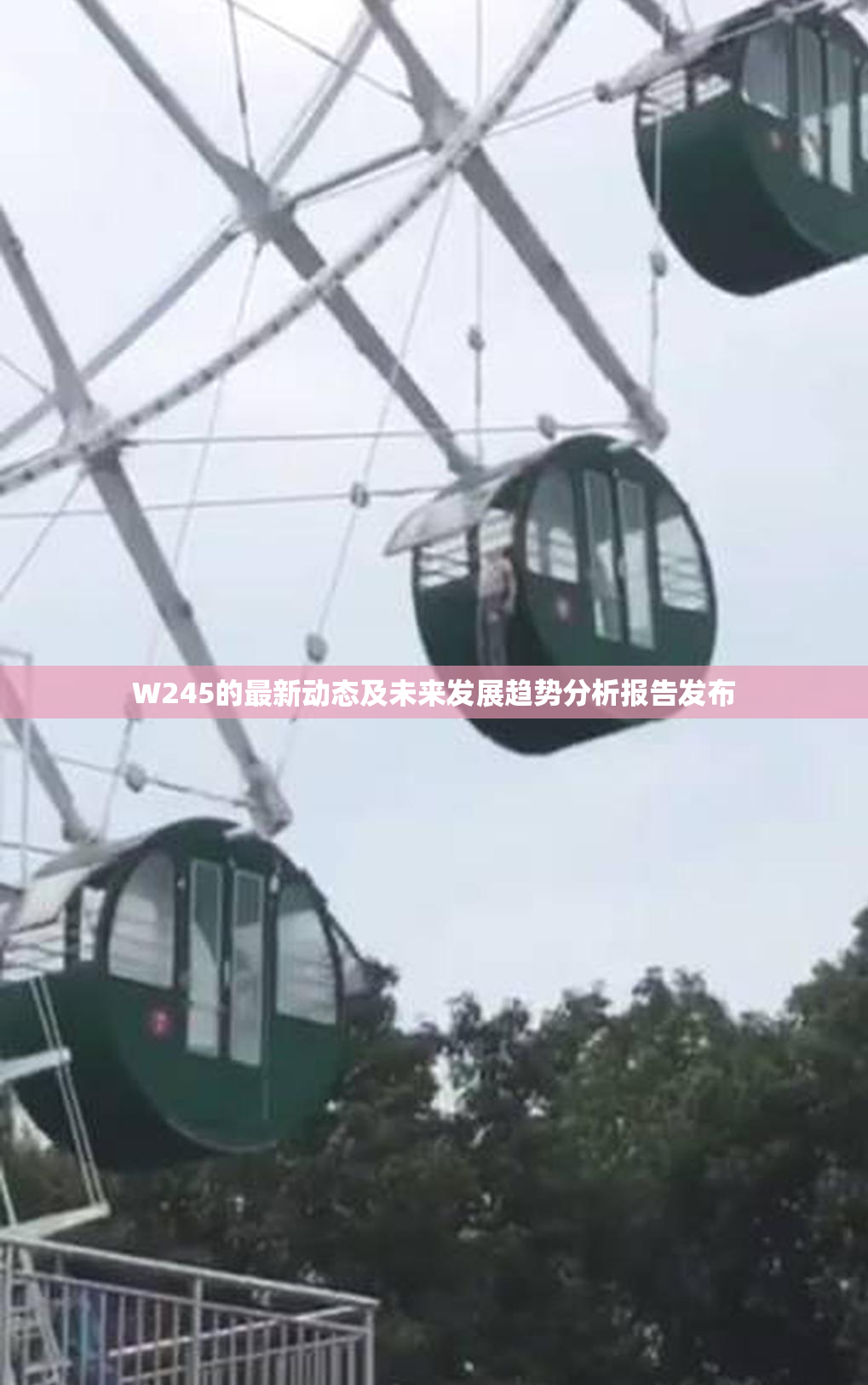 W245的最新动态及未来发展趋势分析报告发布