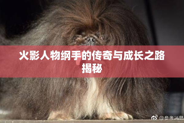 火影人物纲手的传奇与成长之路揭秘