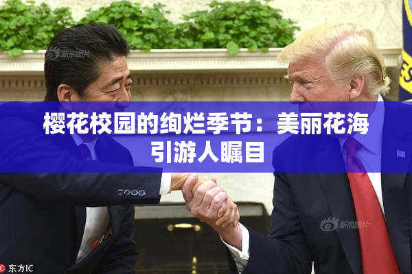 樱花校园的绚烂季节：美丽花海引游人瞩目