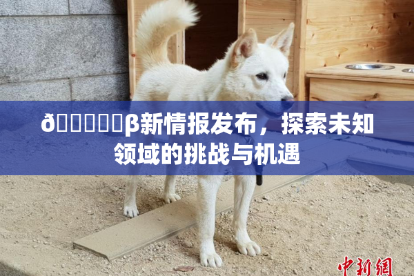 🍆❌‌β新情报发布，探索未知领域的挑战与机遇