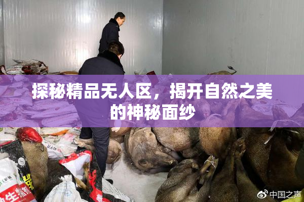 探秘精品无人区，揭开自然之美的神秘面纱