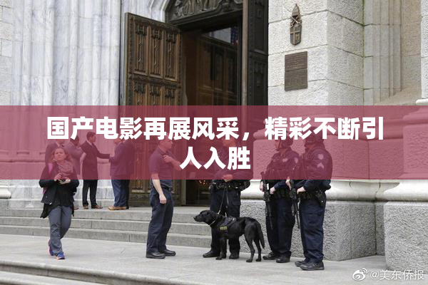 国产电影再展风采，精彩不断引人入胜
