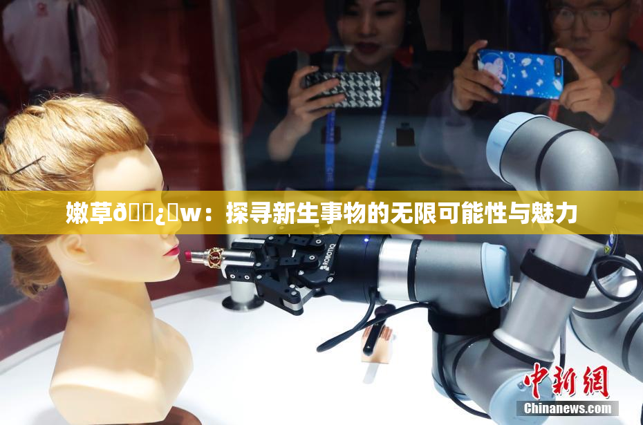 嫩草🌿‌w：探寻新生事物的无限可能性与魅力